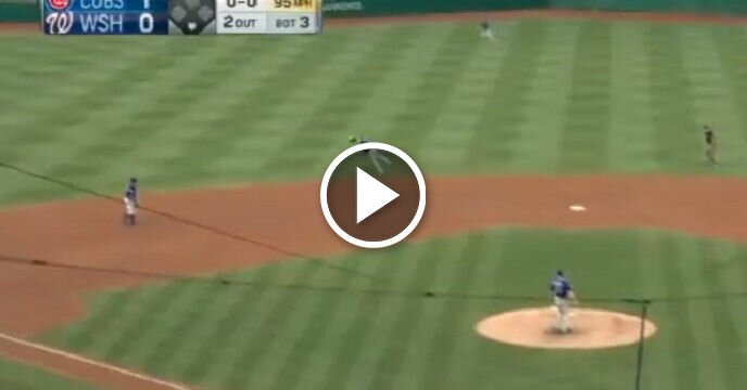 Javier Baez Absolutely Robs Bryce Harper With Insane Diving Catch of a Missile