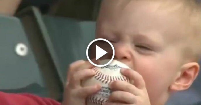 Little Chicago Cubs Fan Confuses Baseball For Some Sort of Edible Item