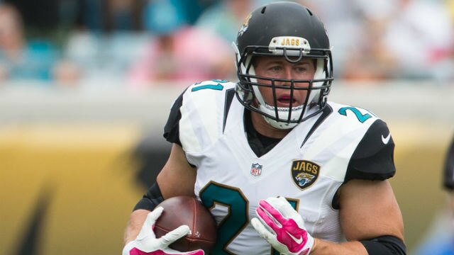 5 Players the Jacksonville Jaguars Should Cut During 2016 Offseason
