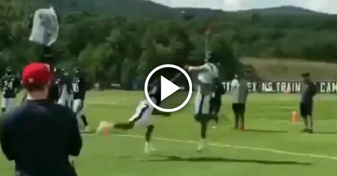 DeAndre Hopkins Makes Insane One-Handed Catch For Score at Texans Training Camp