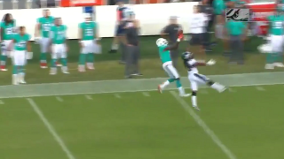 Watch: Dolphins Jay Cutler Finds DeVante Parker For 72-Yard Gain