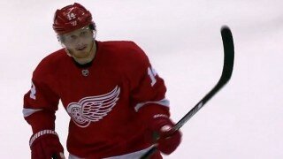 Detroit Red Wings' Gustav Nyquist Buries One-Timer