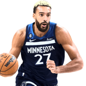 Rudy Gobert 