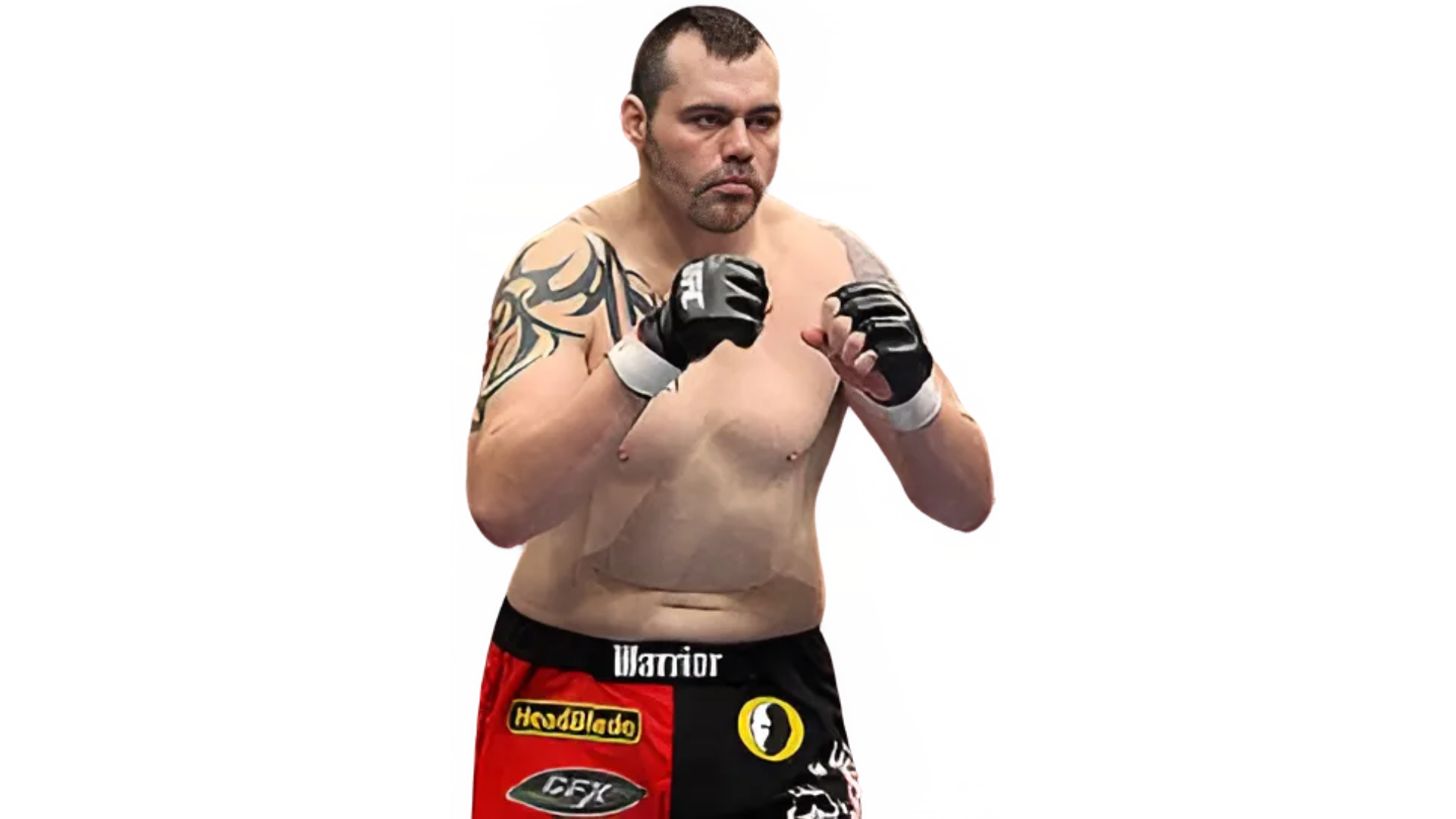 UFC fighter Tim Sylvia