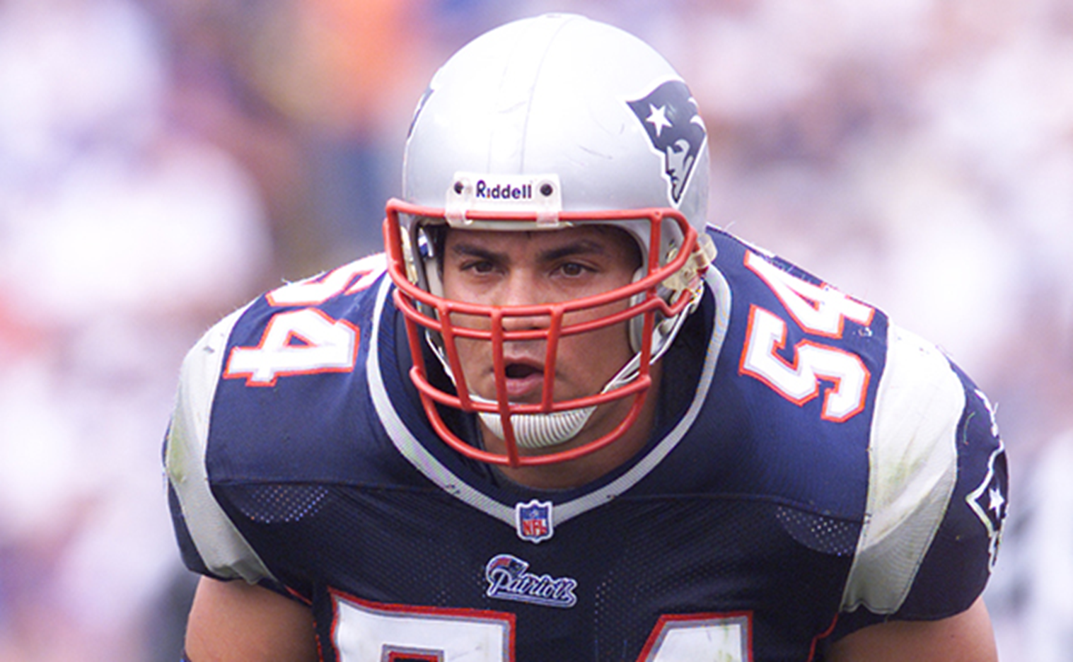 Tedy Bruschi nfl asian players