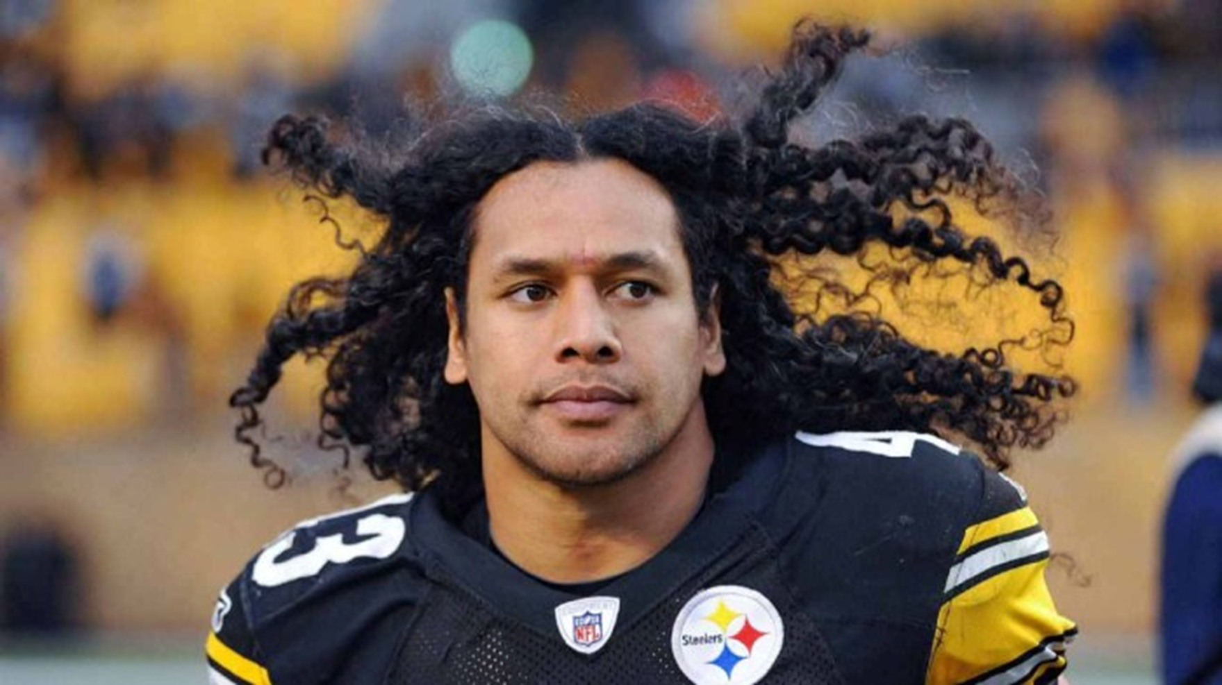 Troy Polamalu