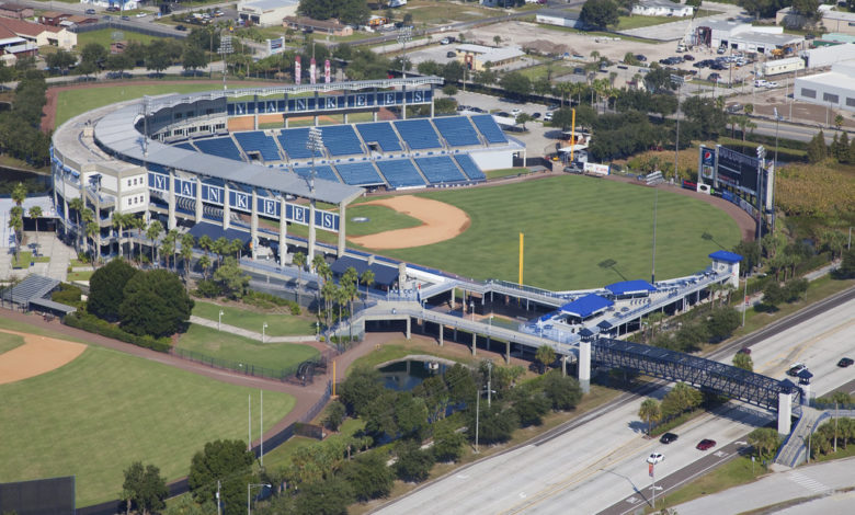 Rays could play Steinbrenner Field IN TAMPA